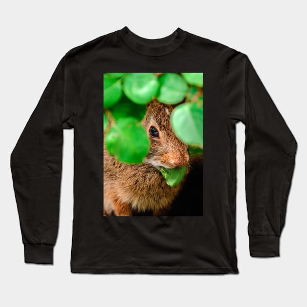 Hungry Bunny Photograph Long Sleeve T-Shirt by love-fi